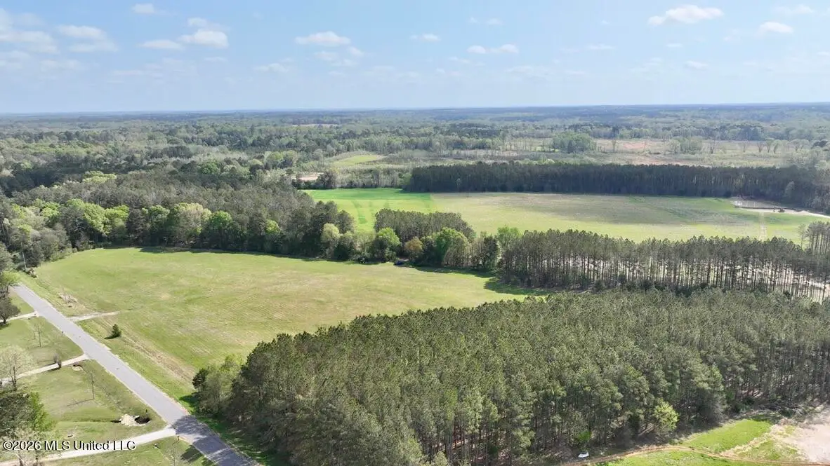 013 Stump Bridge Road, Canton, MS 39046 - #1