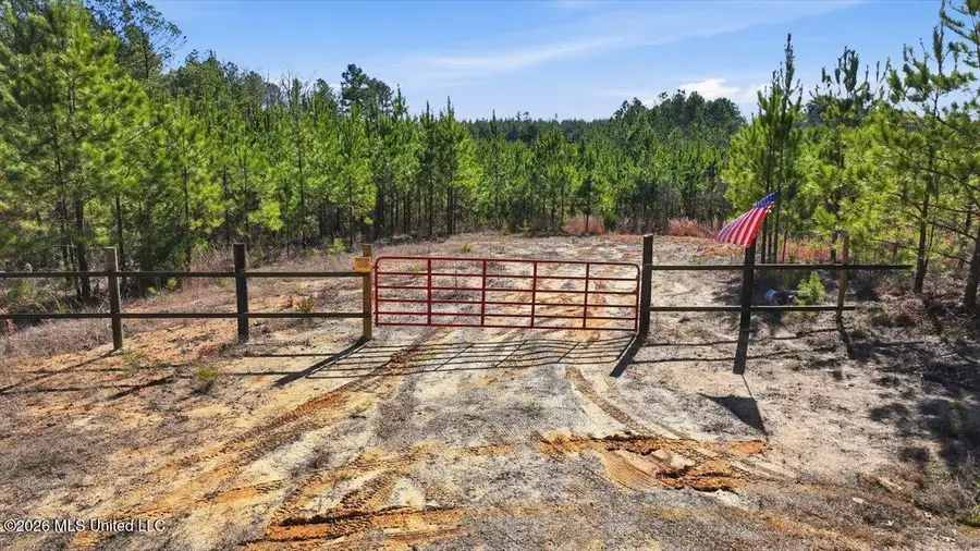 1024-1098 Milligan Spring Road, Eupora, MS 39744 - #2