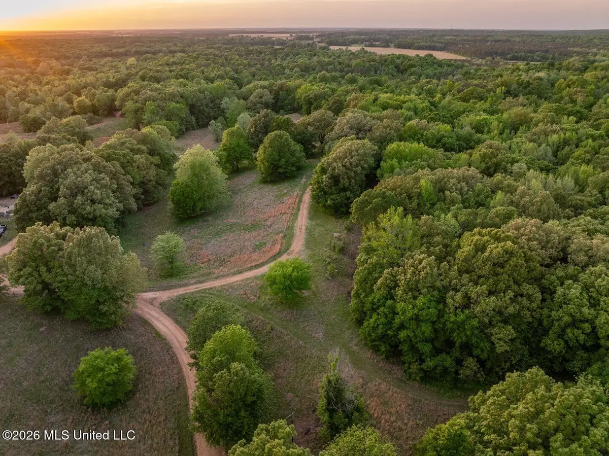 000 Hankins Road, Sarah, MS 38665 - #1