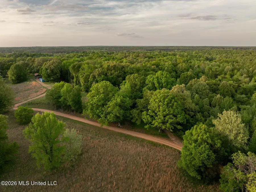 000 Hankins Road, Sarah, MS 38665 - #3