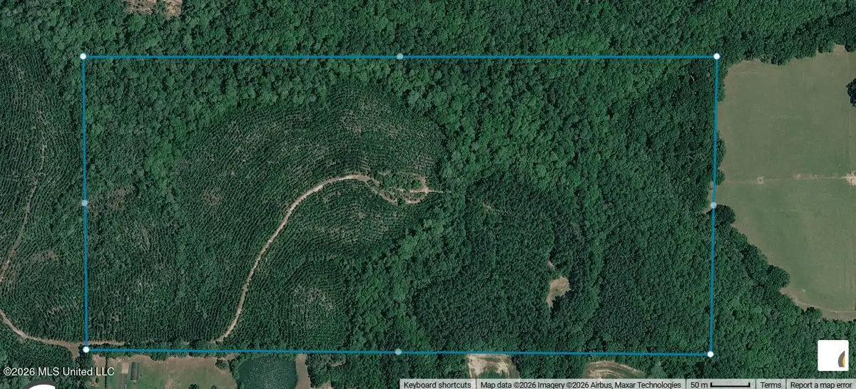 80+/-Ac Little Cedar Road, Lucedale, MS 39452 - #1