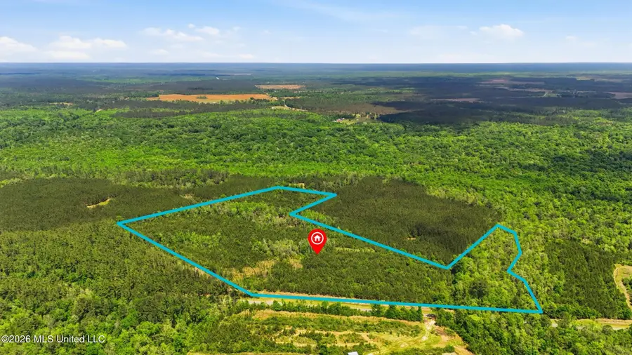 Vestry Road, Perkinston, MS 39573 - #3