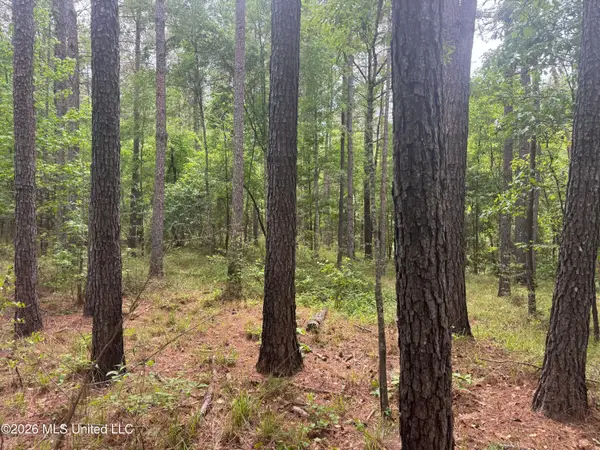 Bushtown Road, Pinola, MS 39149