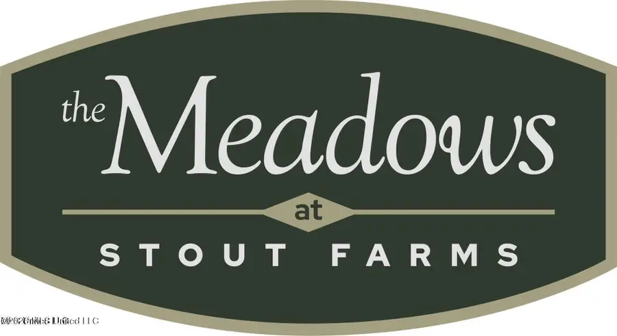 Stout Meadows Lane, Lot 17, Madison, MS 39110 - #3