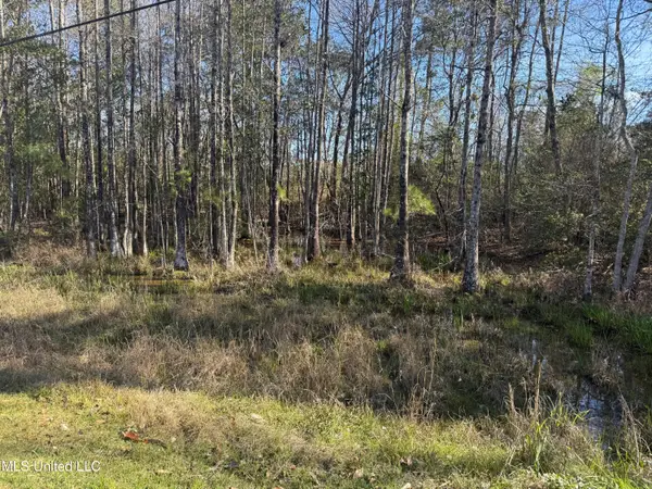 Pokai Street, Diamondhead, MS 39525