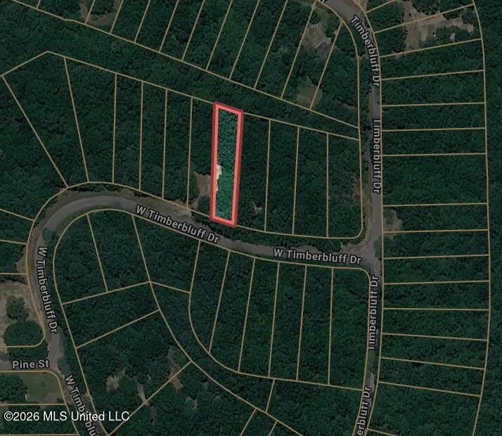 000 W Timber Bluff Drive, Lumberton, MS 39455 - #1