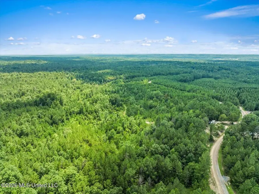 J P Hinton Road, Richton, MS 39476 - #3