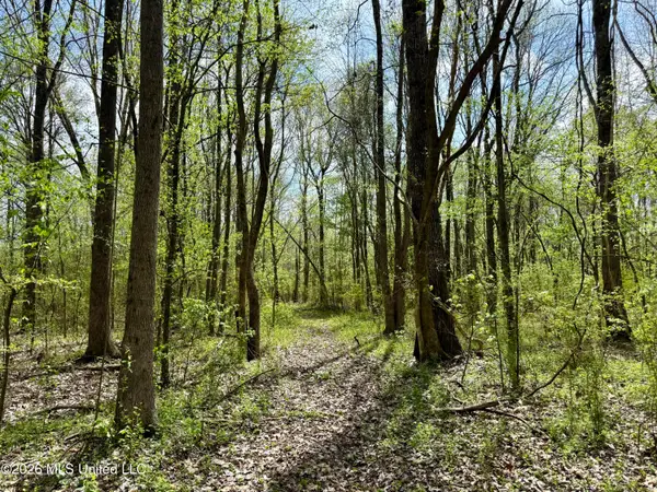 Duram Road, Olive Branch, MS 38654