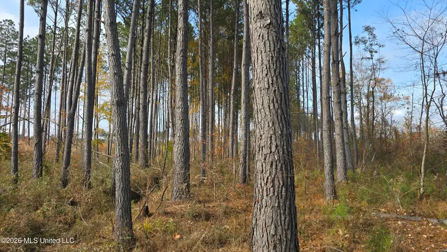 Old Trace Road, McCool, MS 39108 - #2