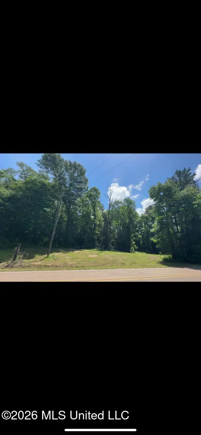 Noblin Bridge Road, Pelahatchie, MS 39145 - #3