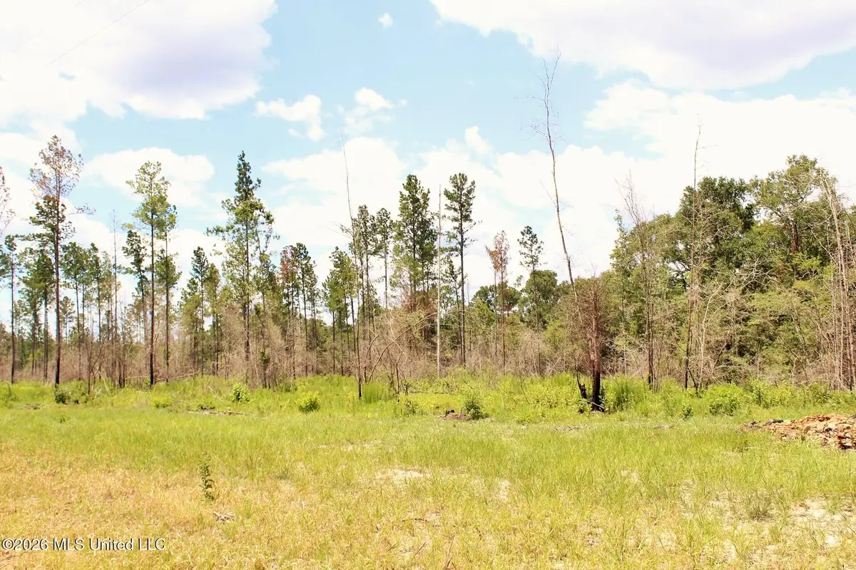 3.78ac Cottonwood Drive, Lucedale, MS 39452 - #1