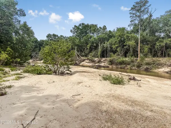 3195 Leatherwood Road, Tylertown, MS 39667