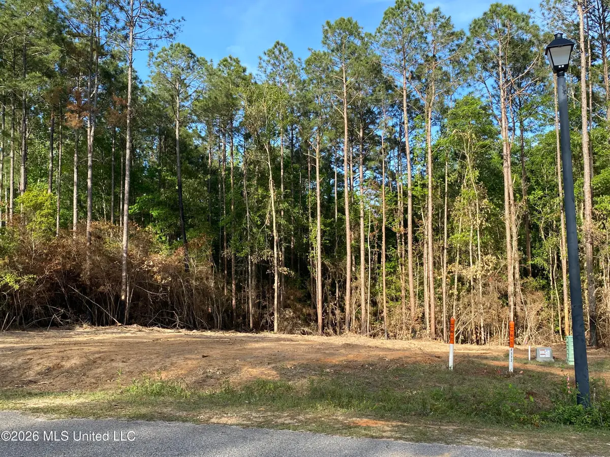 Sweet Birch Drive, Carriere, MS 39426 - #1