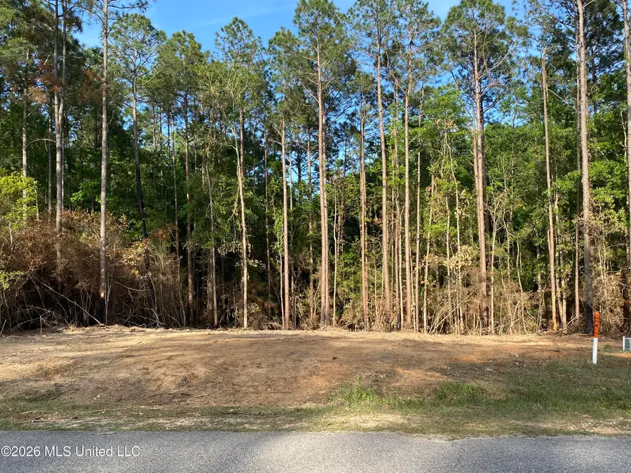 Sweet Birch Drive, Carriere, MS 39426 - #3
