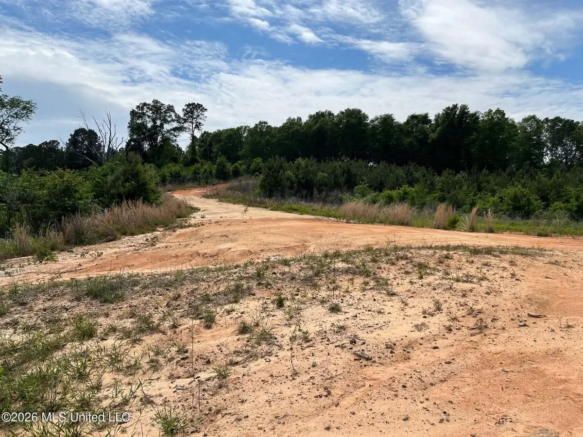 000 Layton Jones Road, Mendenhall, MS 39114 - #1