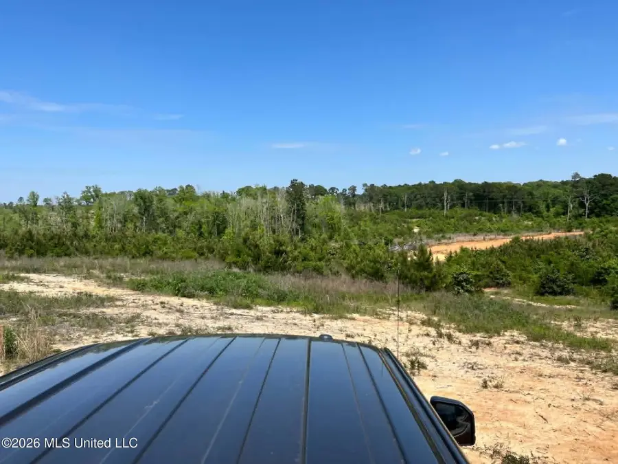 000 Layton Jones Road, Mendenhall, MS 39114 - #2