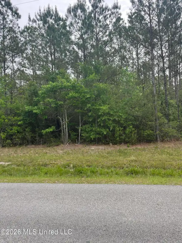 Lot 1 Leetown Road, Picayune, MS 39466