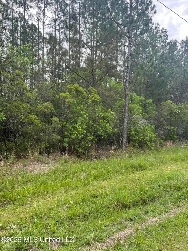 Lot 2 Leetown Road, Picayune, MS 39466