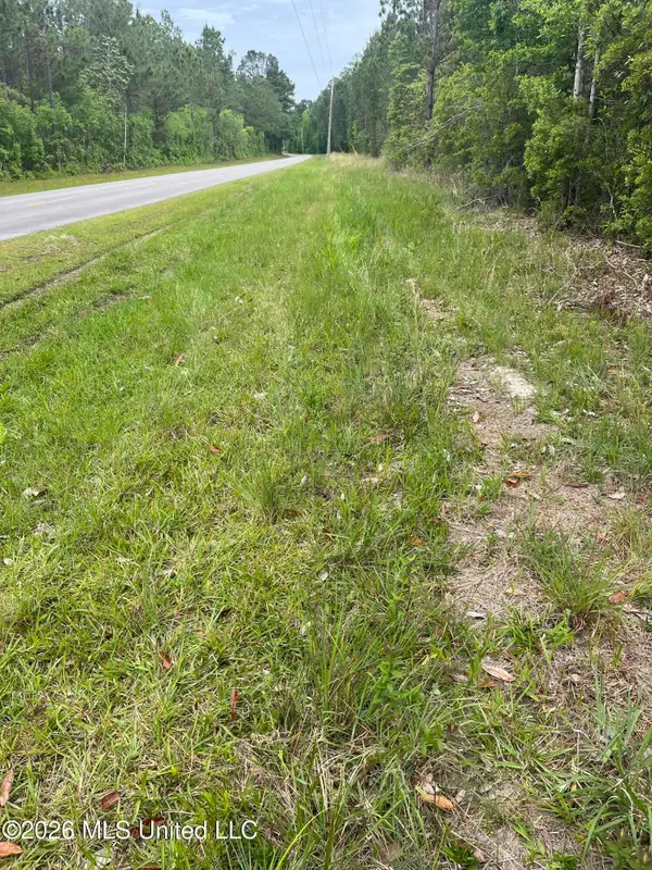 Lot 3 Leetown Road, Picayune, MS 39466