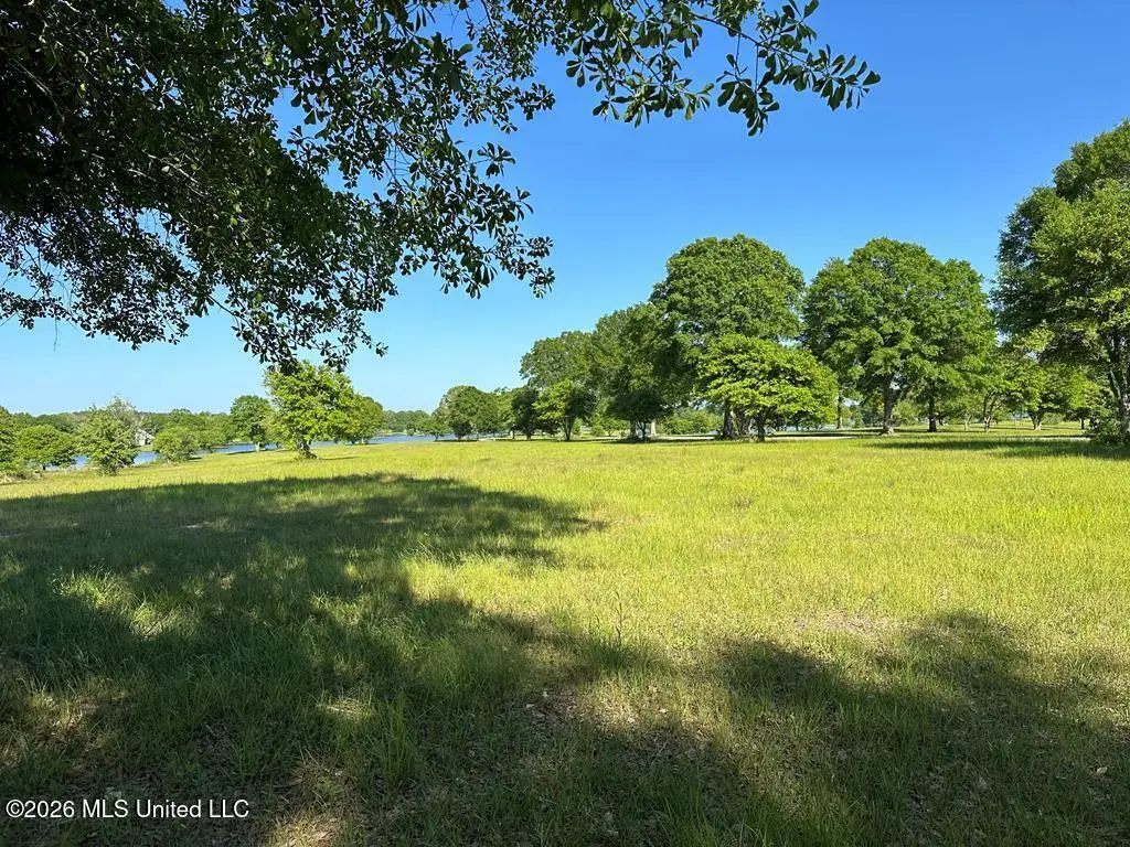 N New Arbor Road, Poplarville, MS 39470 - #1