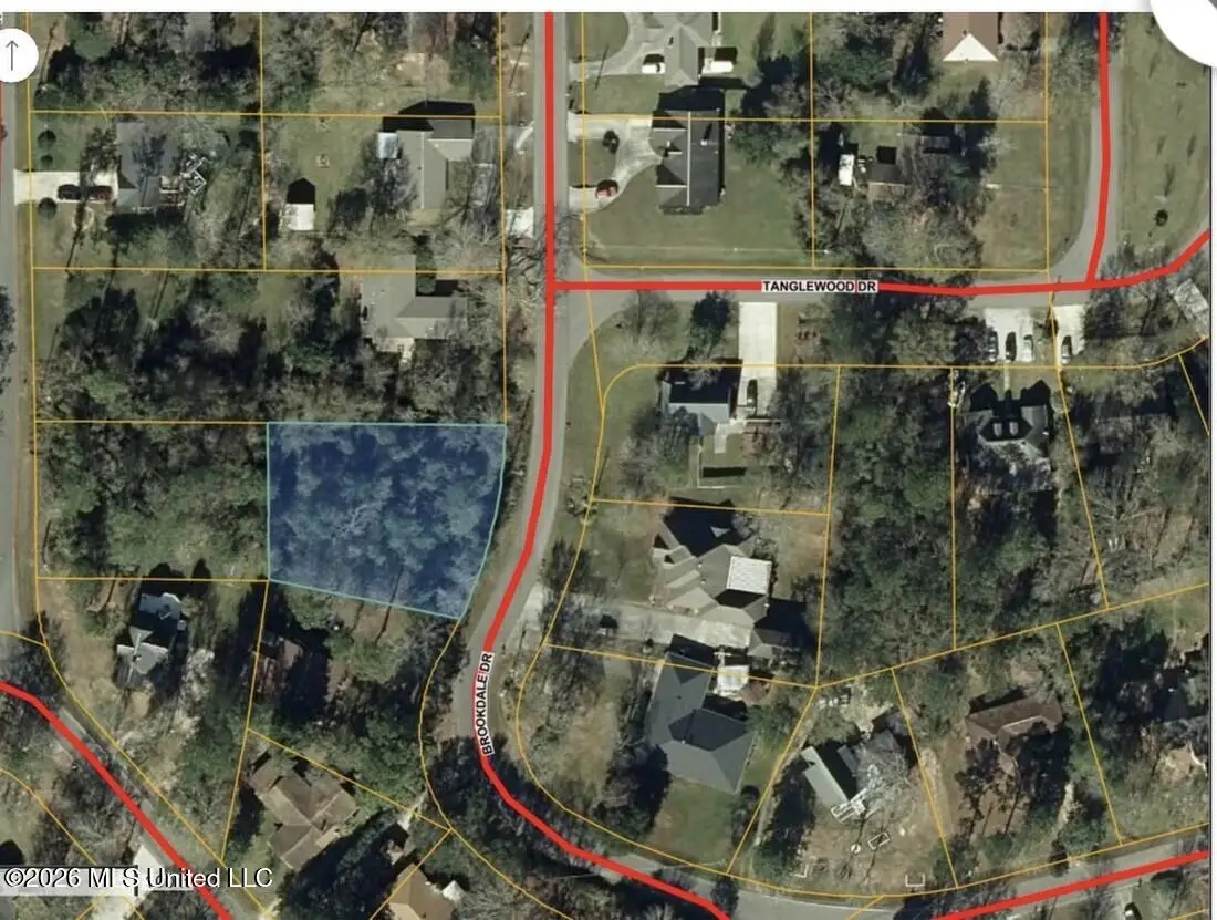 Brookdale Drive, Carriere, MS 39426 - #1