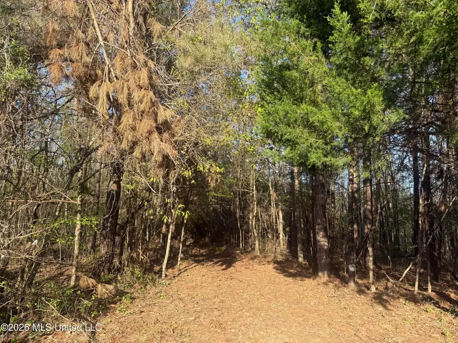 Robert Ford Road, Waterford, MS 38685 - #2