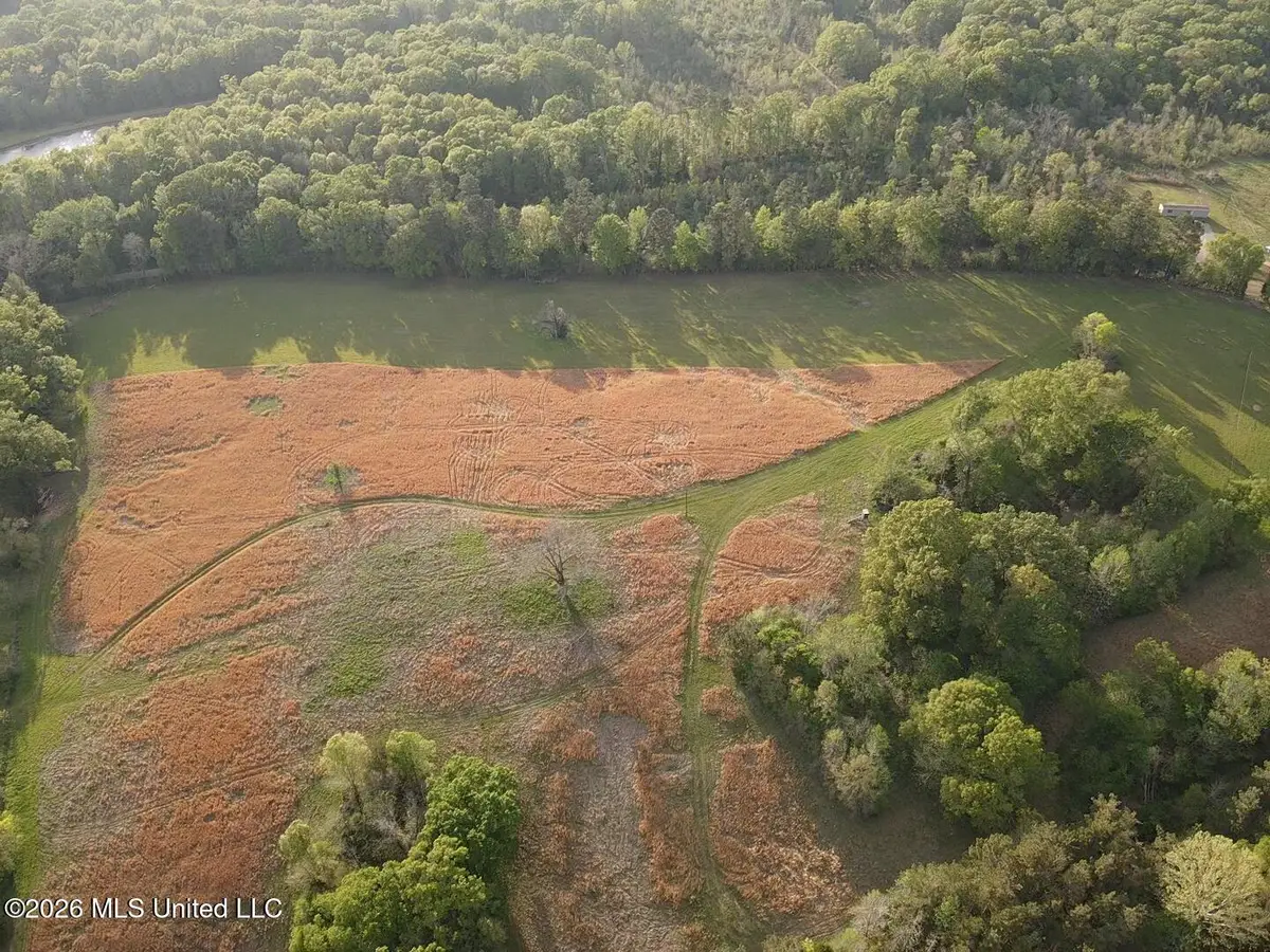 0 Newman Road, Edwards, MS 39066 - #1