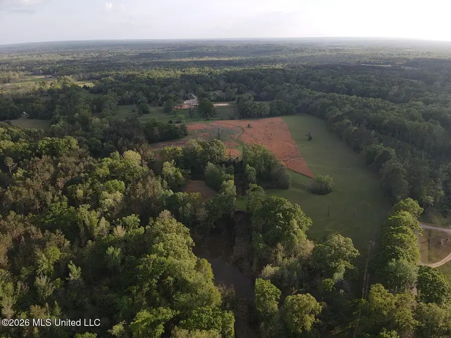 0 Newman Road, Edwards, MS 39066 - #3