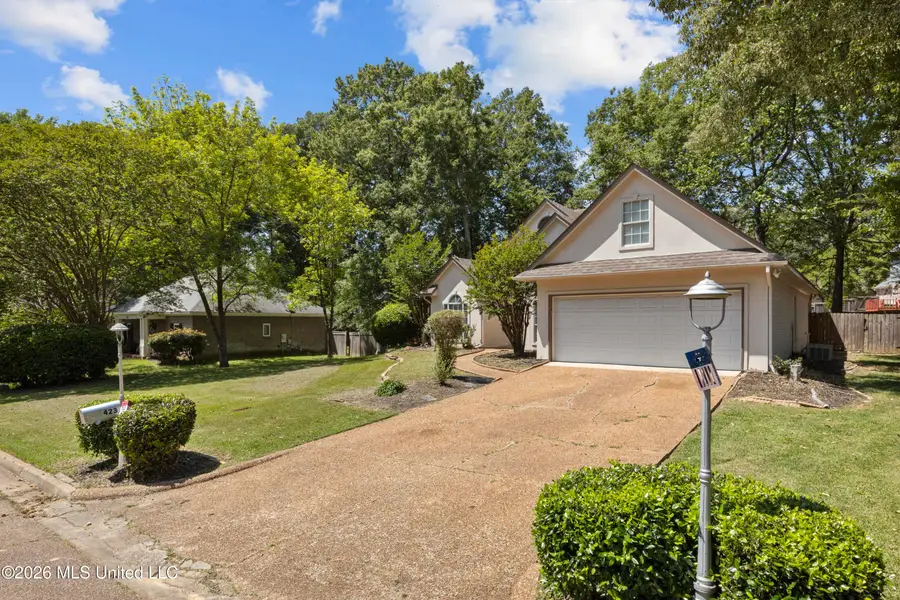 423 Pine Brake Circle, Ridgeland, MS 39157 - #3