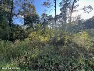 Persimmon Street, Ocean Springs, MS 39564 - #1