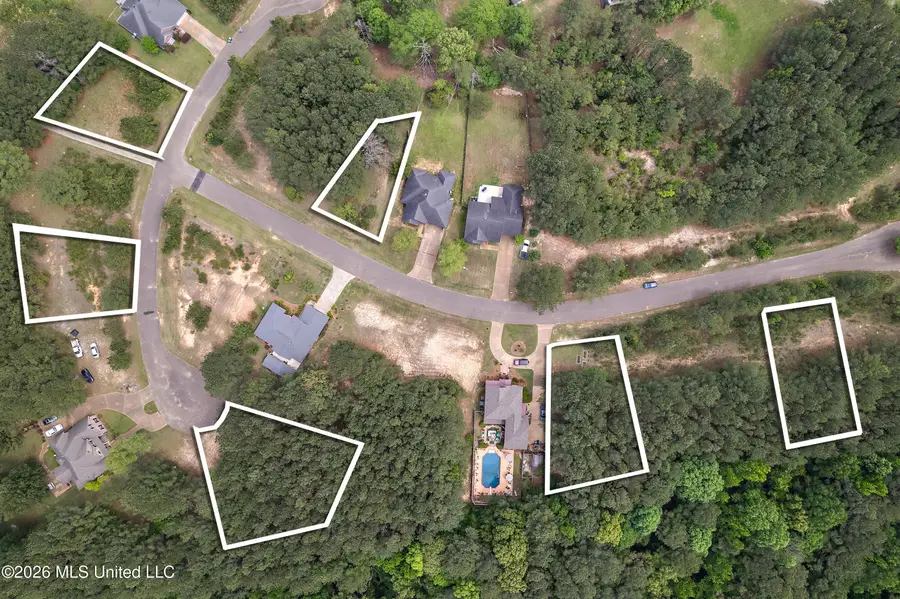 Clubview Drive, Carthage, MS 39051 - #2