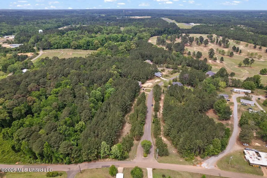 Clubview Drive, Carthage, MS 39051 - #3