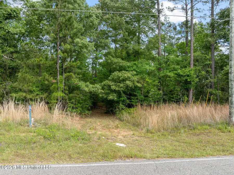 23.25+/- Jm Burge Road, Hattiesburg, MS 39402 - #3