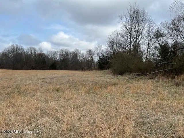 22 Willie Hibbler Road, Senatobia, MS 38668 - #1