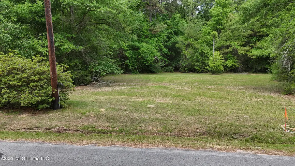 Old Mobile Highway, Lucedale, MS 39452 - #1