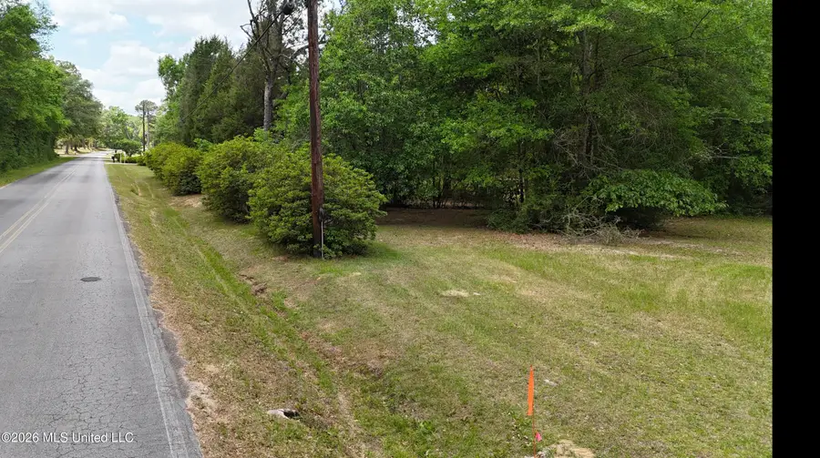 Old Mobile Highway, Lucedale, MS 39452 - #2
