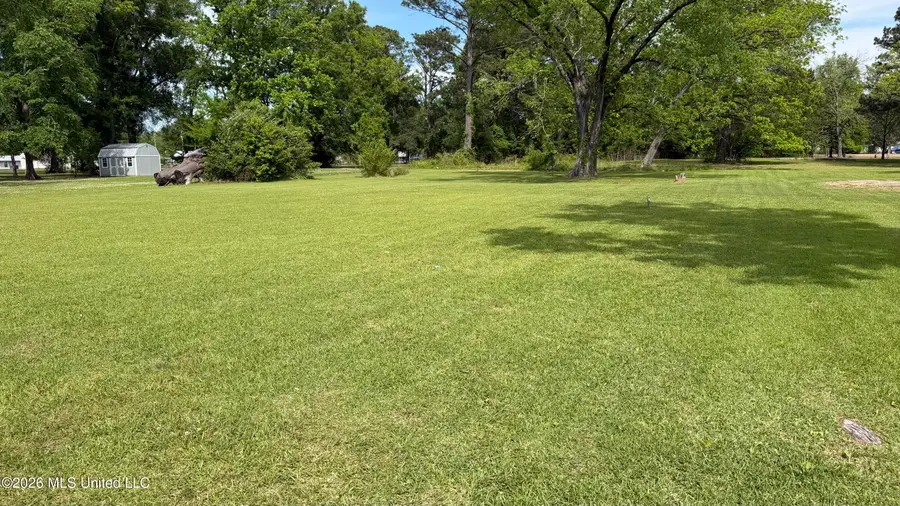 368 W 4th Street, Forest, MS 39074 - #3