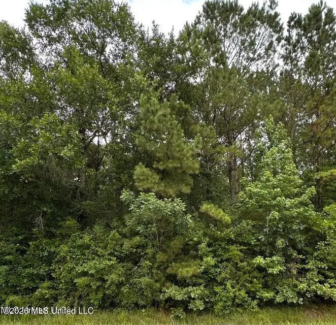 Mississippi 613, Moss Point, MS 39562 - #1