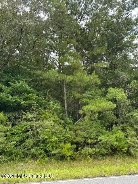 Mississippi 613, Moss Point, MS 39562 - #2
