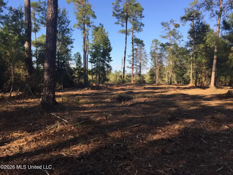 Crump Road, Kiln, MS 39556 - #2