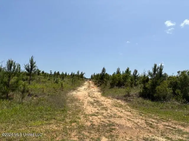W Wire Road, Vancleave, MS 39565 - #1