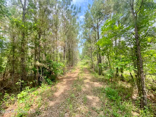 0 Henry Harris Road, Utica, MS 39175