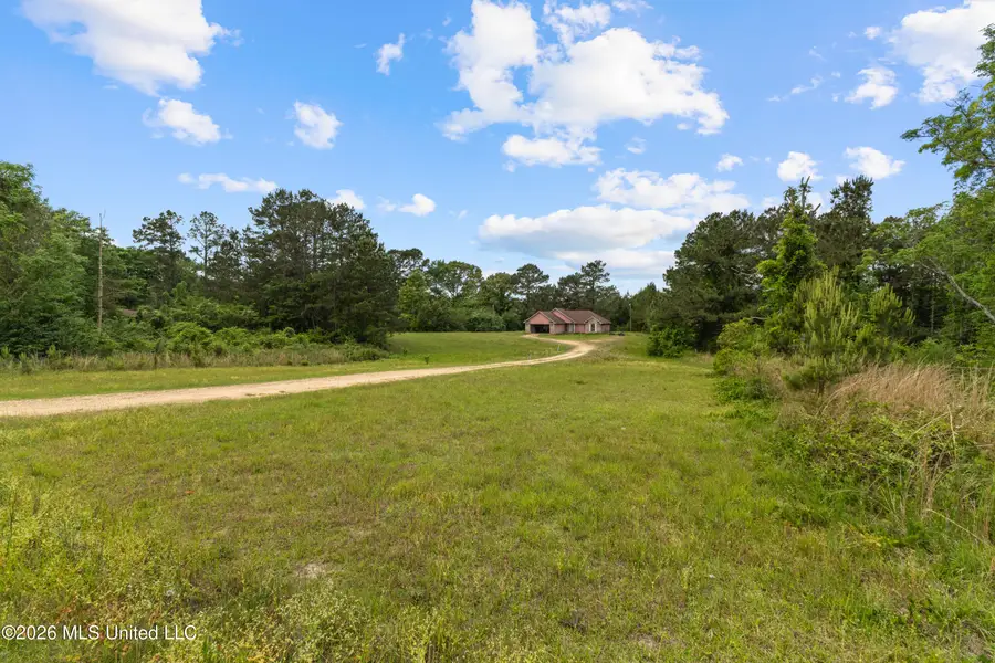 41 Adams Lane, Prentiss, MS 39474 - #2