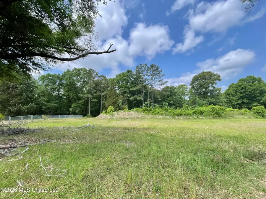 Beaver Dam Road, Lucedale, MS 39452 - #2