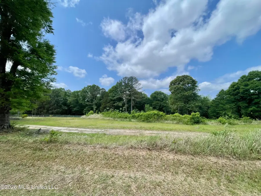 Beaver Dam Road, Lucedale, MS 39452 - #3