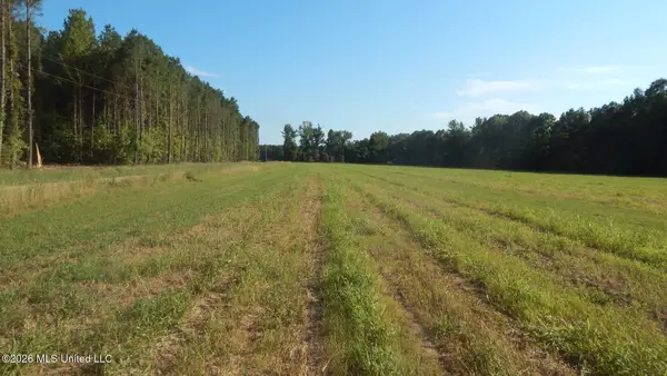 555 County Road 247 Country Road, Bruce, MS 38915
