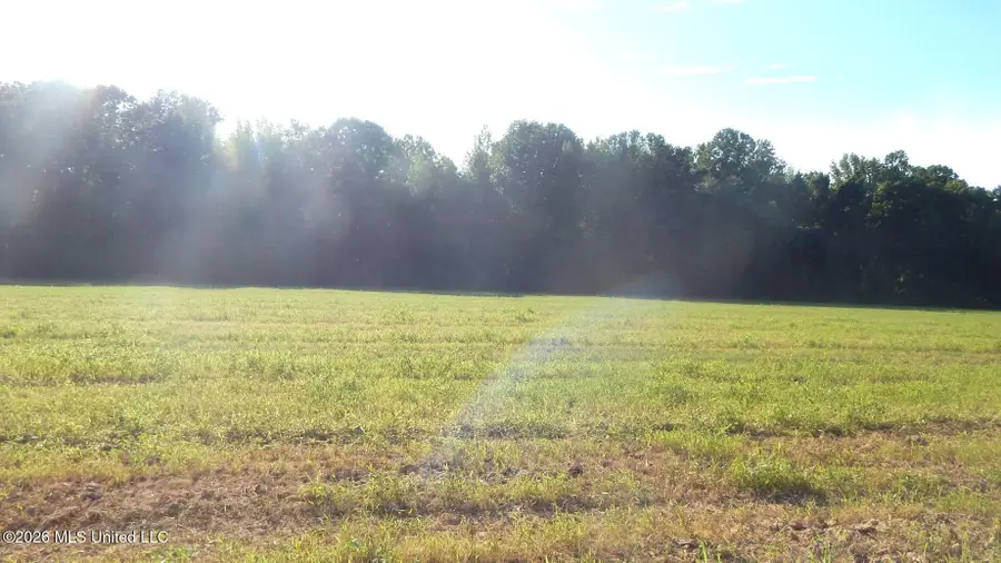 555 County Road 247 Country Road, Bruce, MS 38915 - #3
