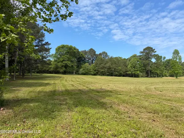 Mississippi 488 Highway, Carthage, MS 39051