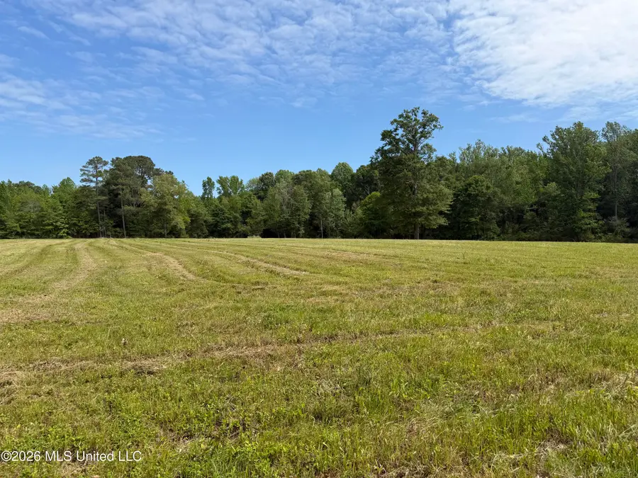 Mississippi 488 Highway, Carthage, MS 39051 - #3