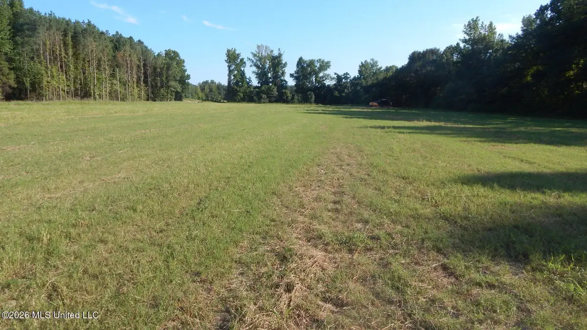 565 County Road 247 Country Road, Bruce, MS 38915 - #1